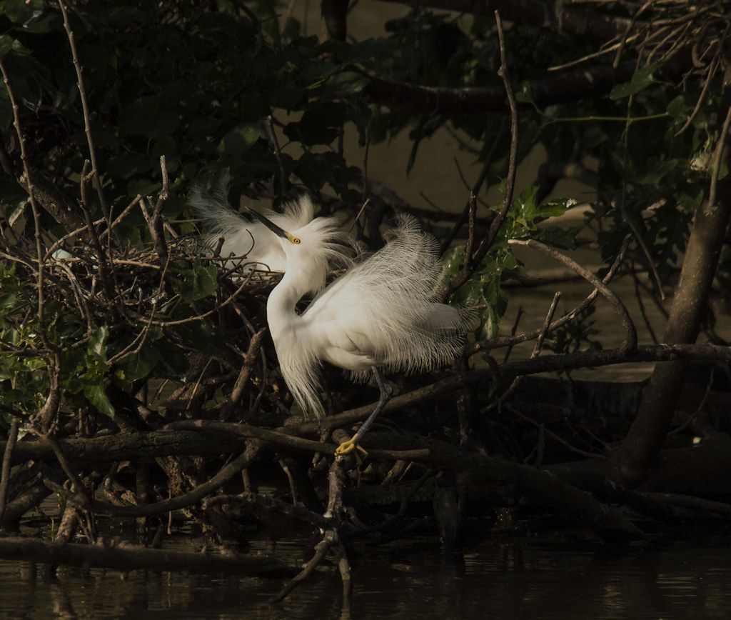 Finding Time To Photograph – Photography Concentrate